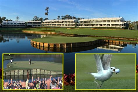 tpc sawgrass 2023 leaderboard.